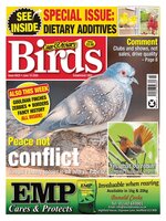 Cage & Aviary Birds